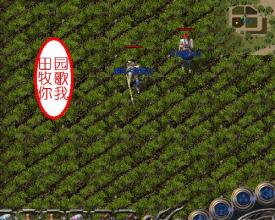 �������ݿ�db������