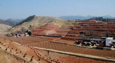 ��ħ������ʧ����