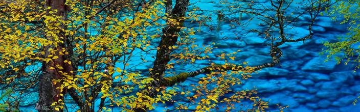 ��Ѫ�����޼�������